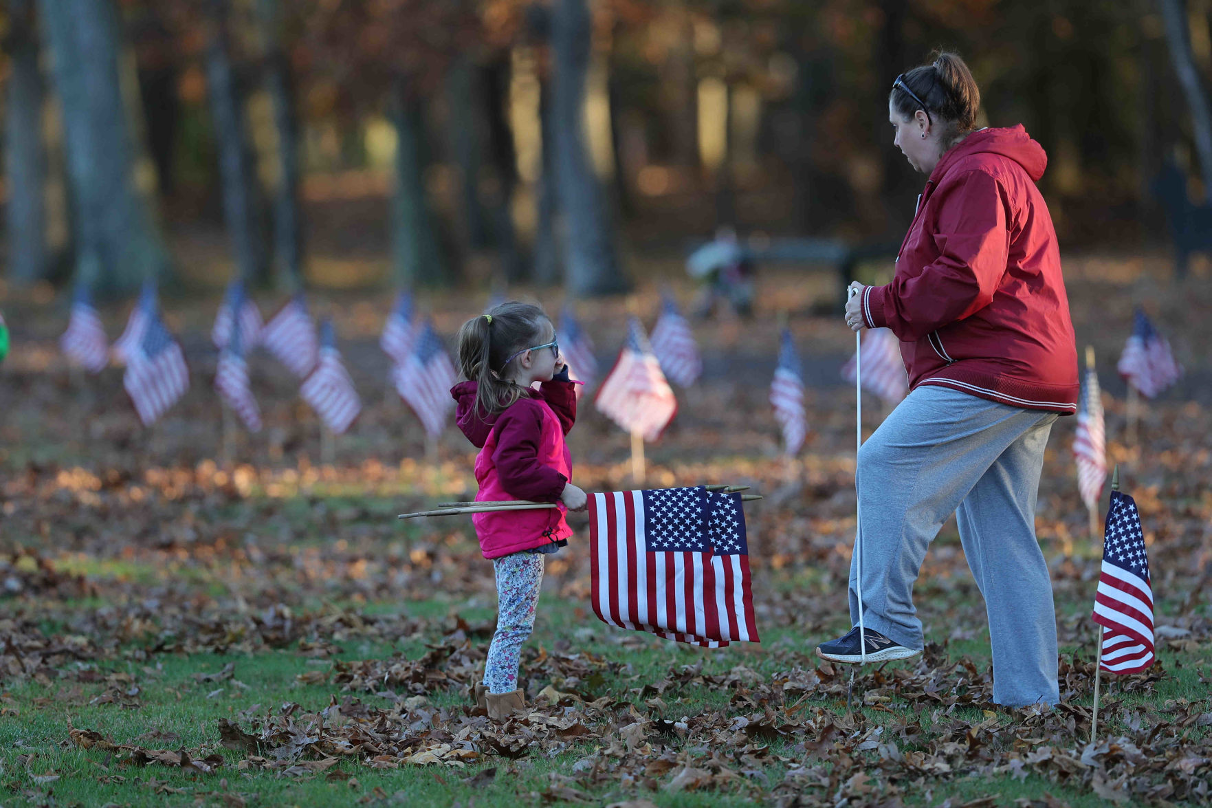 Scouts planted American Flags ahead of Veterans Day